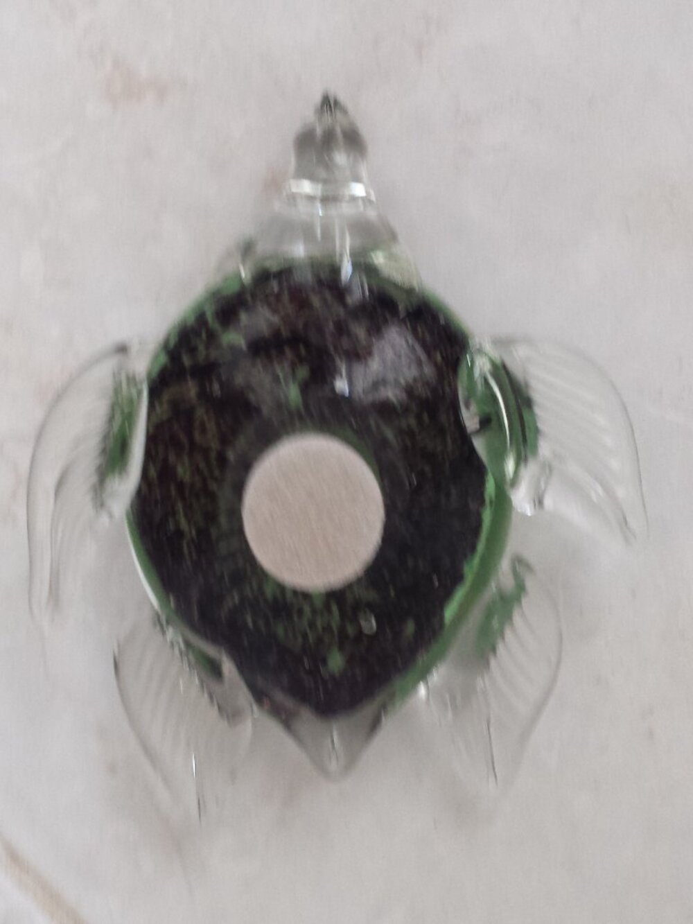 Colored Glass Turtle - Picture 14 of 16